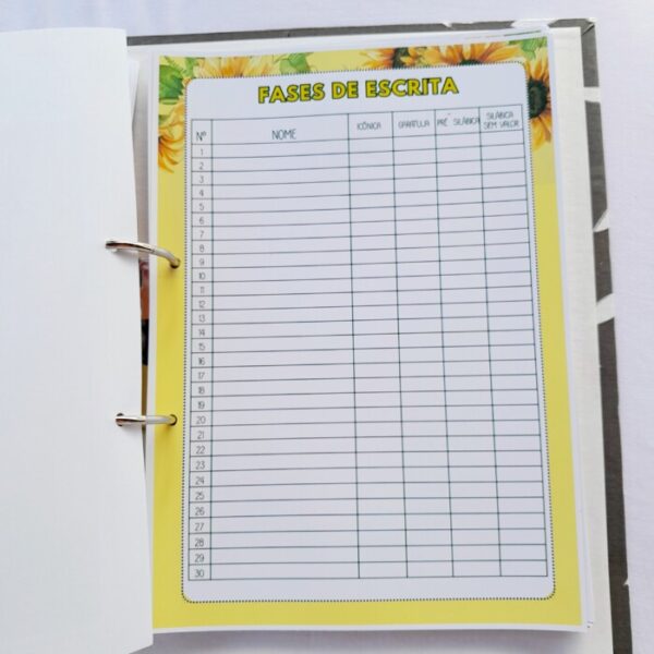 CADERNO DO (A) PROFESSOR (A) 2025 🌻 TEMA GIRASSOL 🌻 Educação Infantil - Imagem 5