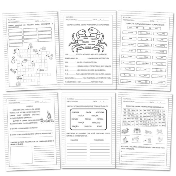 APOSTILA PARA ALFABETIZAÇÃO COM SÍLABAS COMPLEXAS + FICHAS DE LEITURA - Imagem 3