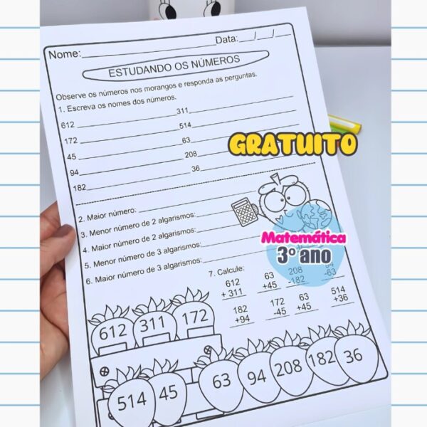 ESTUDANDO OS NÚMEROS